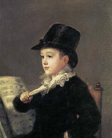 Francisco Jose de Goya Portrait of Mariano Goya, the Artist's Grandson china oil painting image